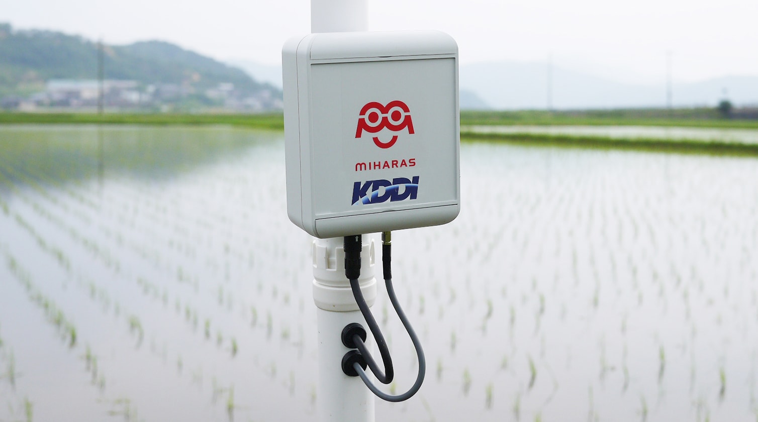 KDDI株式会社 商品・CS統括本部 商品戦略部 商品第1グループ 課長補佐 杉田 博司