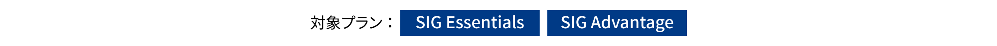 対象プラン:SIG Security、SIG Advantage